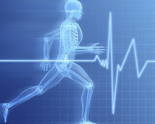 Dinh dưỡng khoa học để giảm cân cùng máy chạy bộ tại nhà